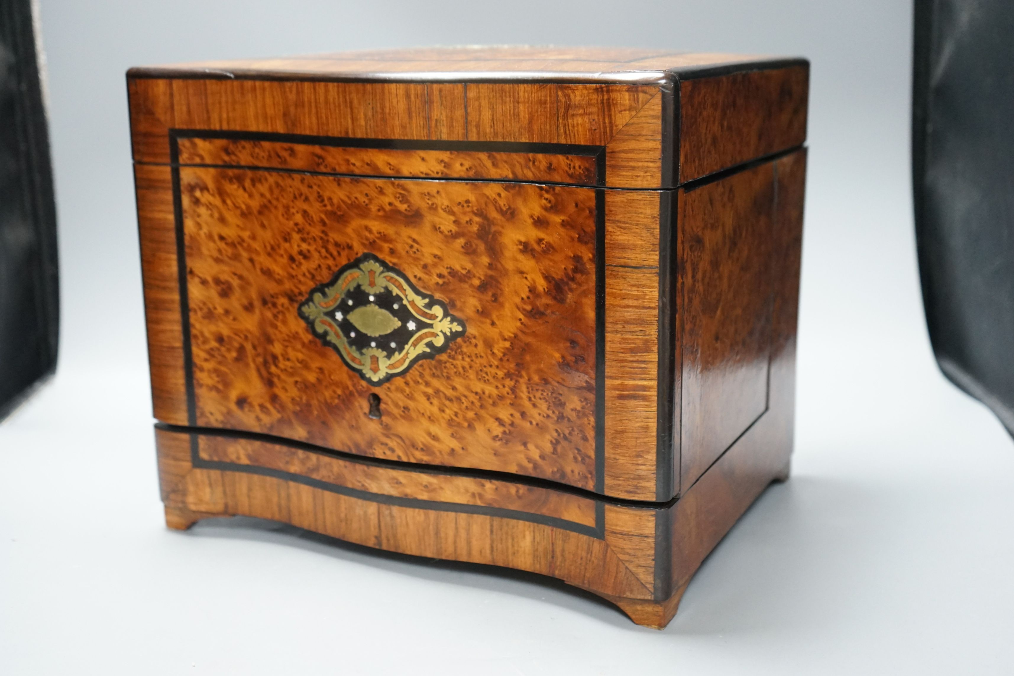 A 19th century French bird's eye maple liqueur box, 33cms wide x 28cms high